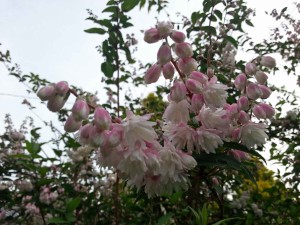 20150517_061127(0)[1]